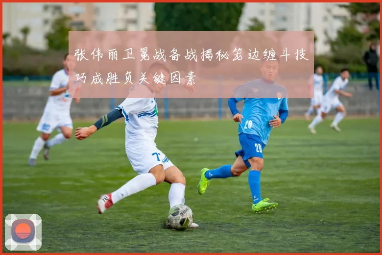 张伟丽卫冕战备战揭秘笼边缠斗技巧成胜负关键因素
