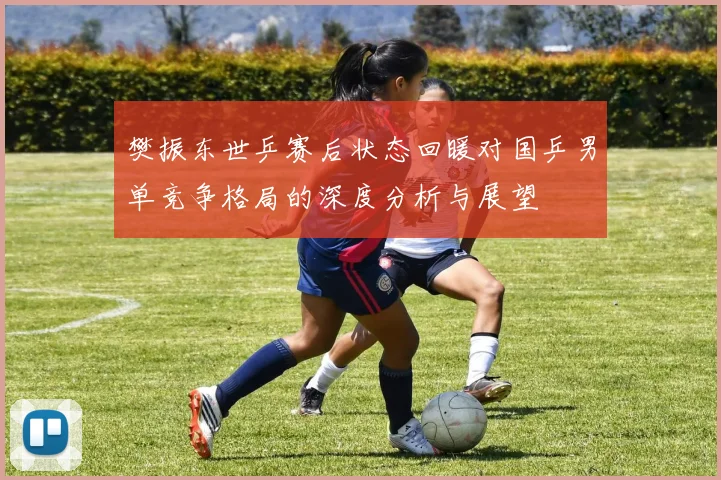 樊振东世乒赛后状态回暖对国乒男单竞争格局的深度分析与展望